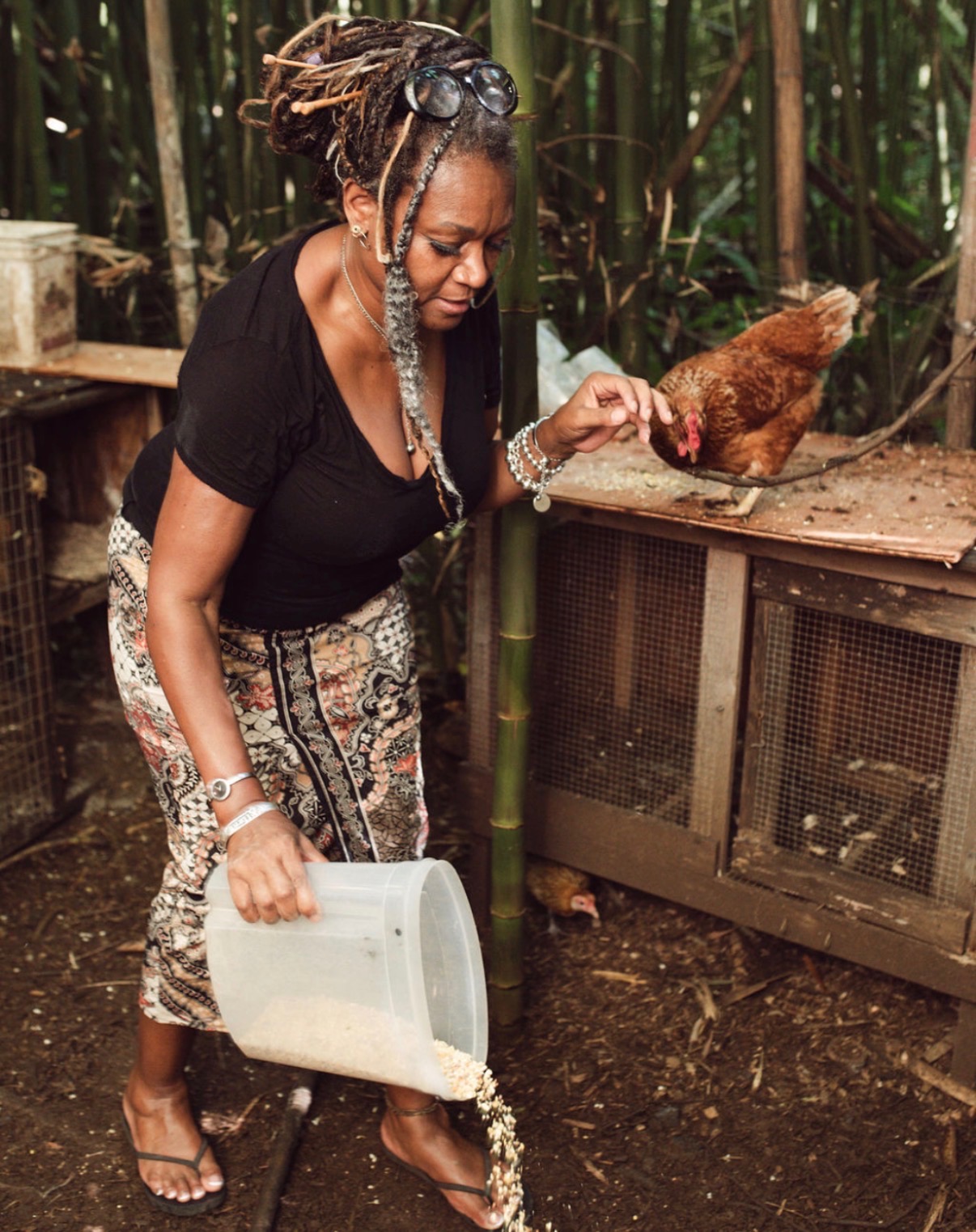 Dr. Allana Coffee caring for chickens among bamboo
