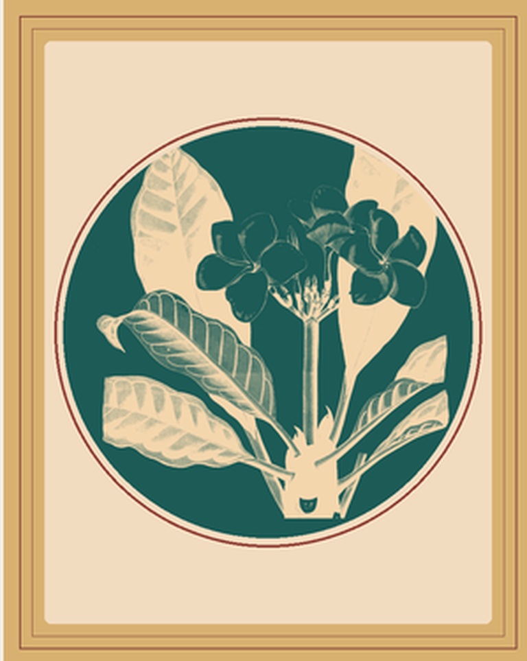 Stylized plumeria botanical print in teal and soft cream