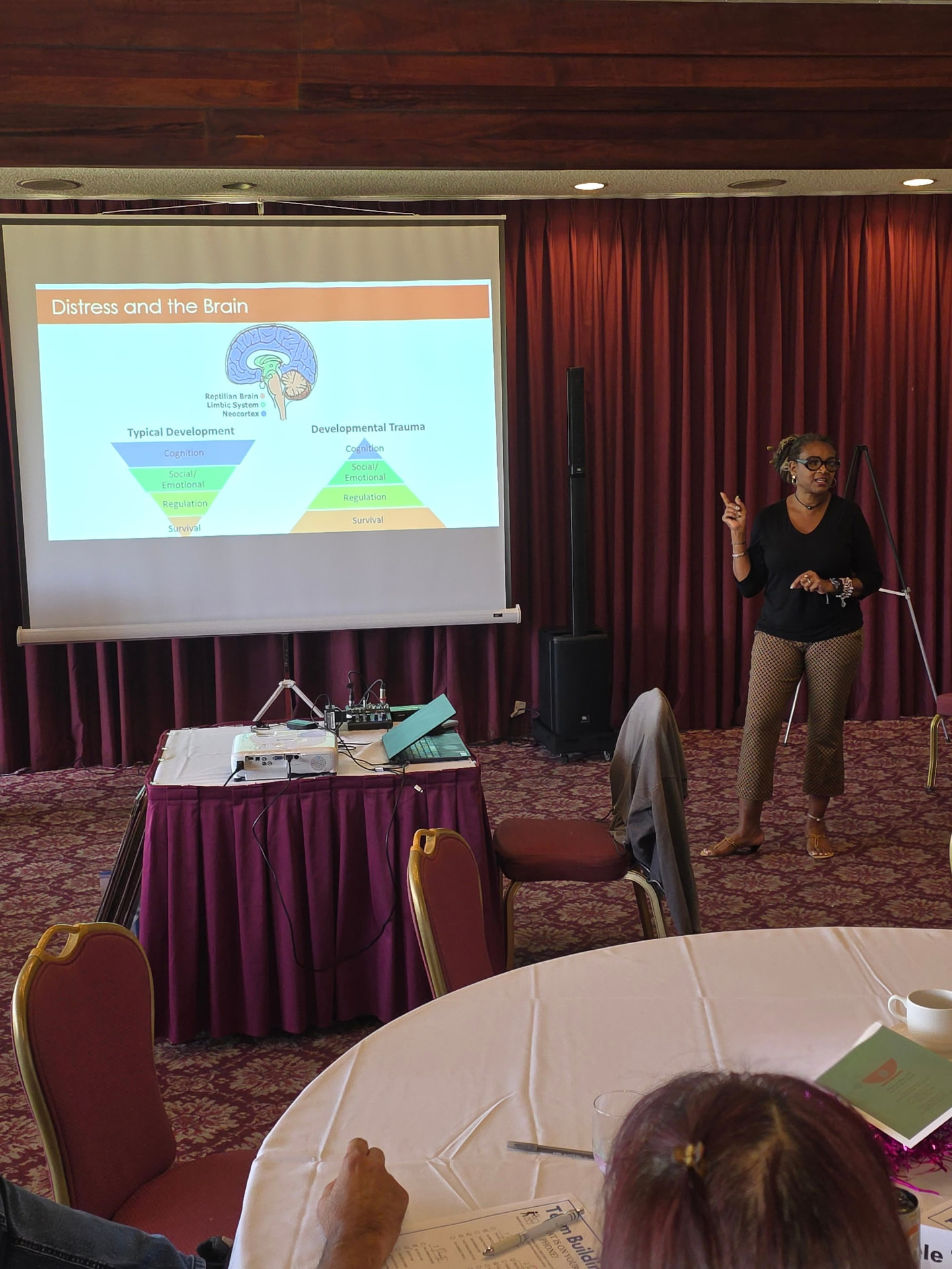Dr. Allana Coffee facilitating a presentation on distress, development, and the brain